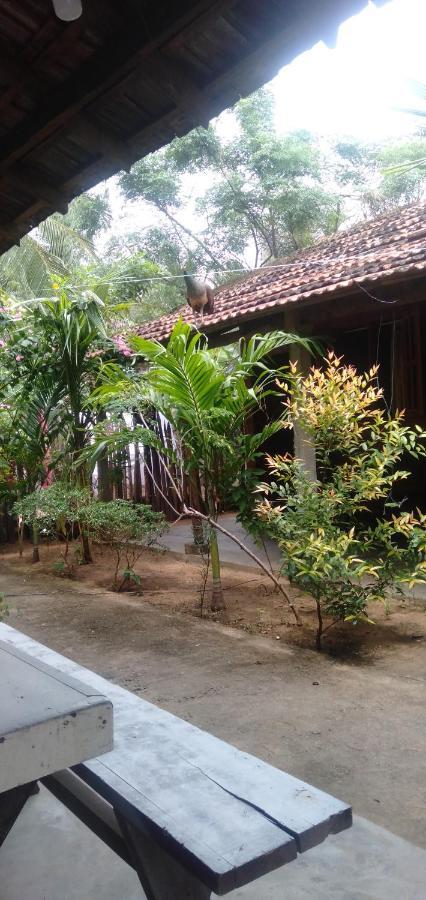 Walkers Hostel Trincomalee Εξωτερικό φωτογραφία