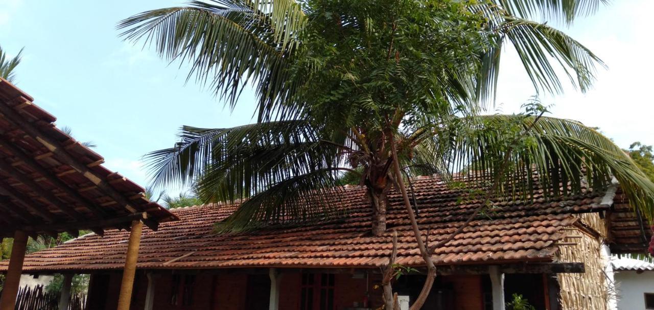 Walkers Hostel Trincomalee Εξωτερικό φωτογραφία